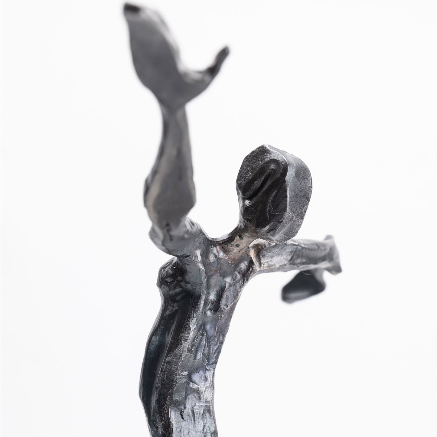 Zeevik Gottlieb | Sensual Swirls