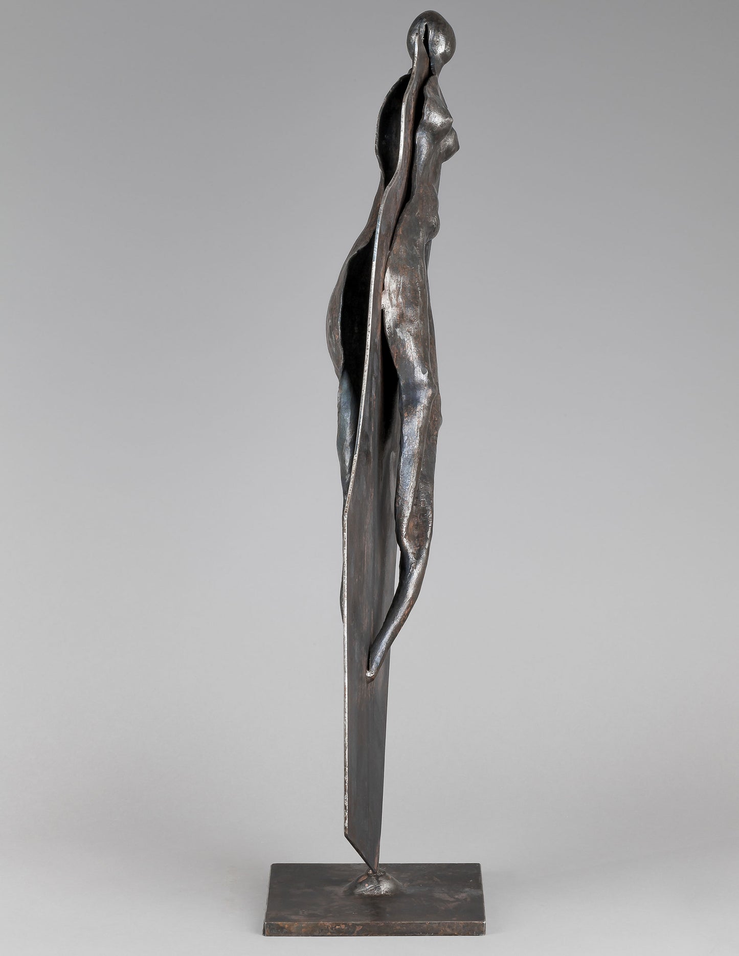 Zeevik Gottlieb | Iron Women